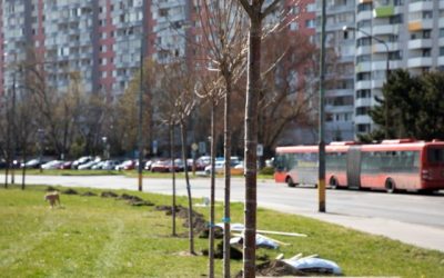 Do obnovy verejného priestoru v Petržalke budú môcť zasiahnuť aj samotní obyvatelia mestskej časti