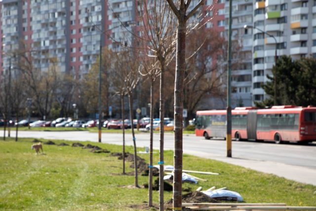 Do obnovy verejného priestoru v Petržalke budú môcť zasiahnuť aj samotní obyvatelia mestskej časti