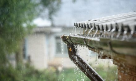 Dažďová voda môže znížiť náklady na závlahu záhrady. Ako vybrať vhodné čerpadlo?